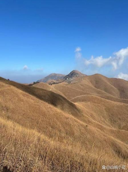 去湘赣边,在湖南自己的武功山看秋天草甸