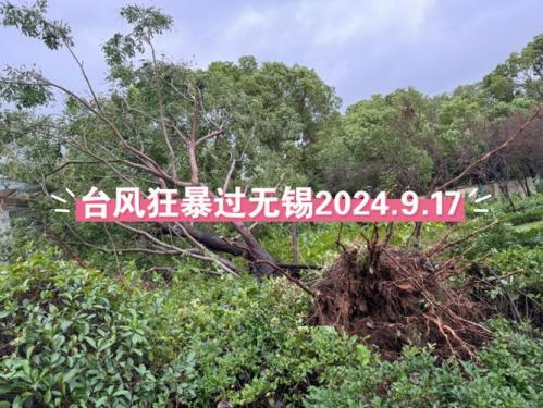 江苏无锡受台风影响吗
