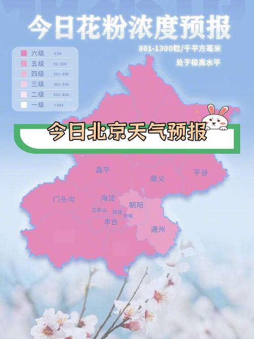 顺义15天天气预报
