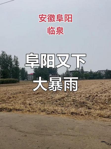 帮我查安徽省阜阳天气预报