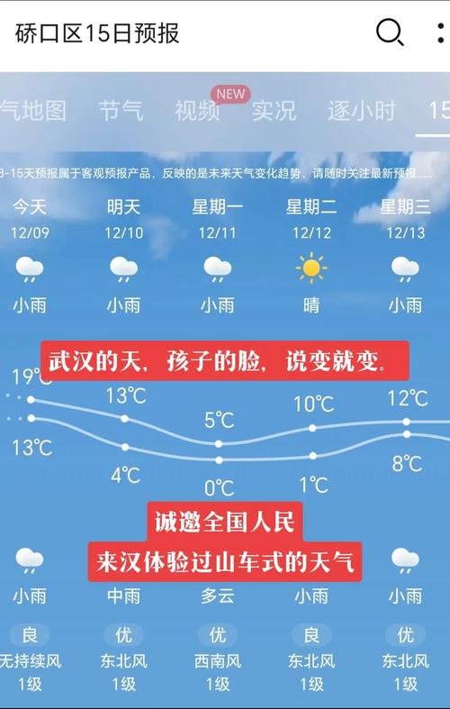 武汉未来十五天天气预报