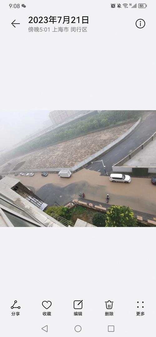 请问明天上海闵行区天气