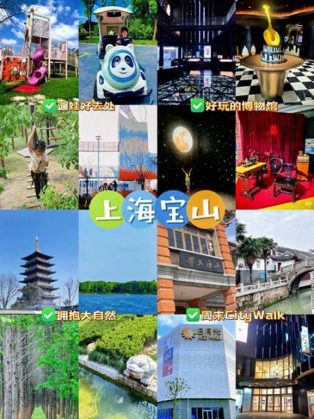 上海宝山今天的天气如何