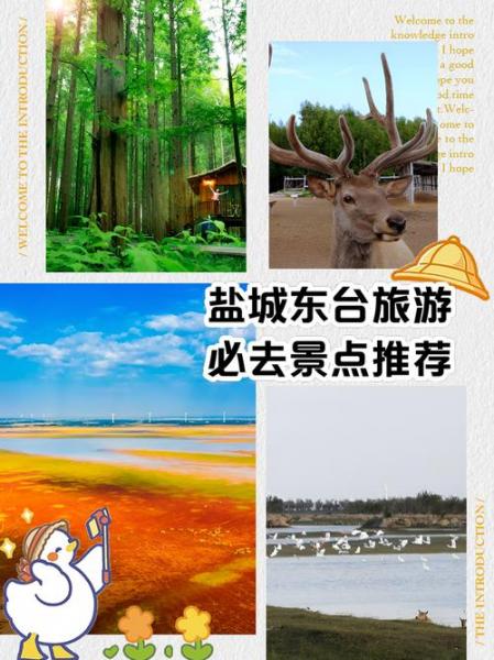 东台市三十天天气预报