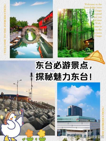 带孩子去东台旅游,需要注意什么?