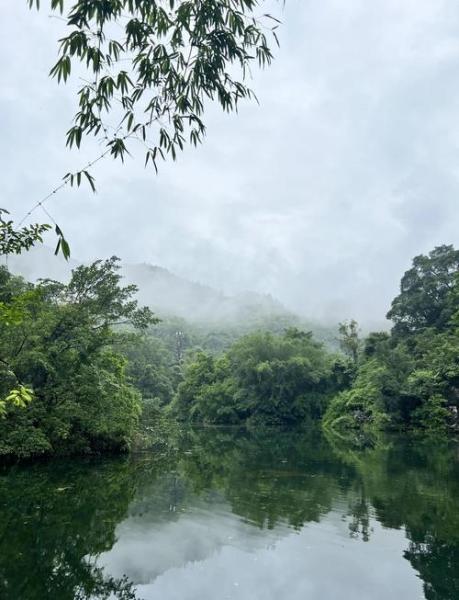 明天杭州天气如何?