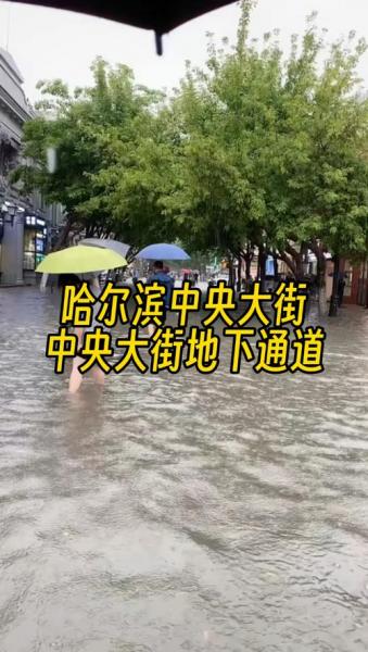 哈尔滨明天有没有雨
