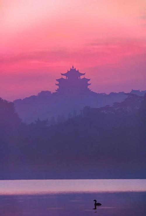 浙江适合带孩子免费赶海的地方