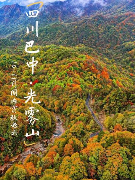 光雾山杜鹃花最佳观赏期2025