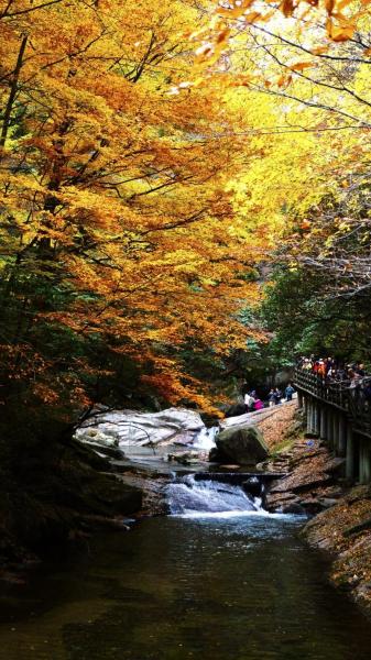 巴中光雾山红叶节天气预报