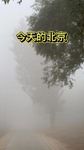 赵全营镇2023-10-04天气预报(北京,顺义,)